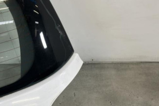 Malle/Hayon arriere RENAULT CLIO 3