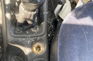 Repetiteur clignotant avant gauche (Feux) PEUGEOT 206
