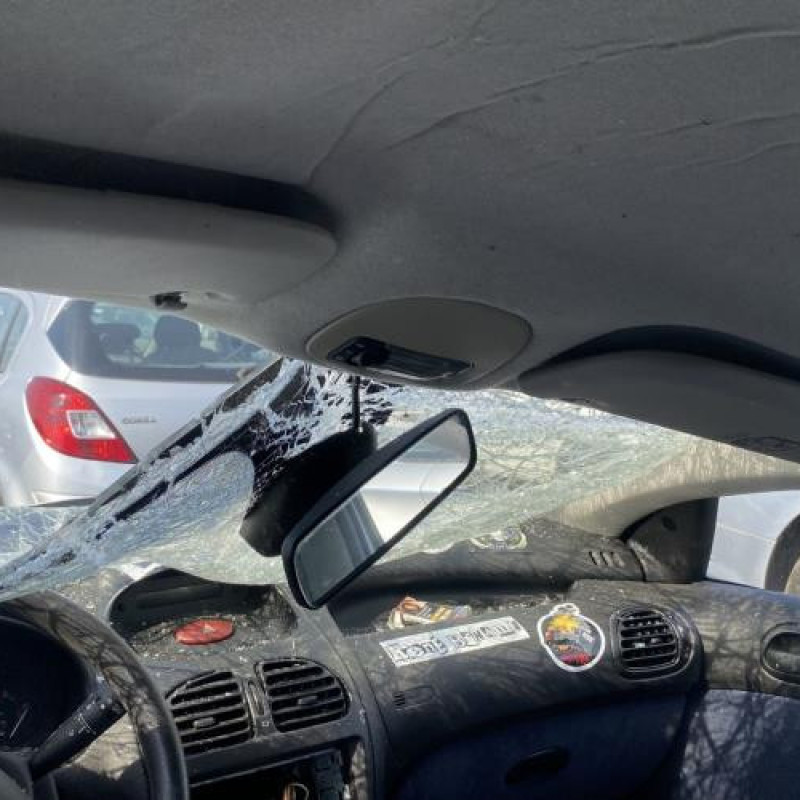 Vase de lave glace PEUGEOT 206 Photo n°19
