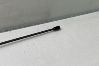 Antenne PEUGEOT 106