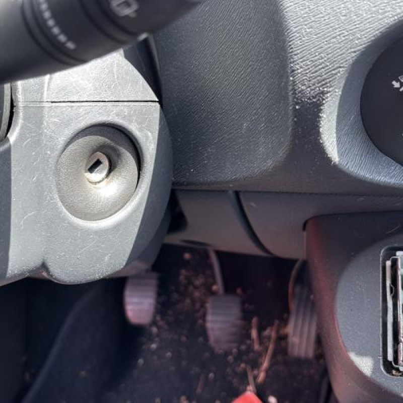 Porte avant gauche RENAULT TWINGO 2 Photo n°19