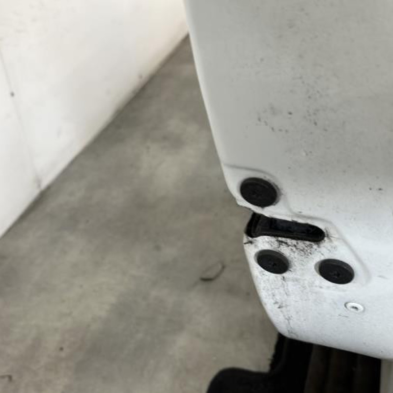 Porte avant droit RENAULT MEGANE 4 Photo n°3