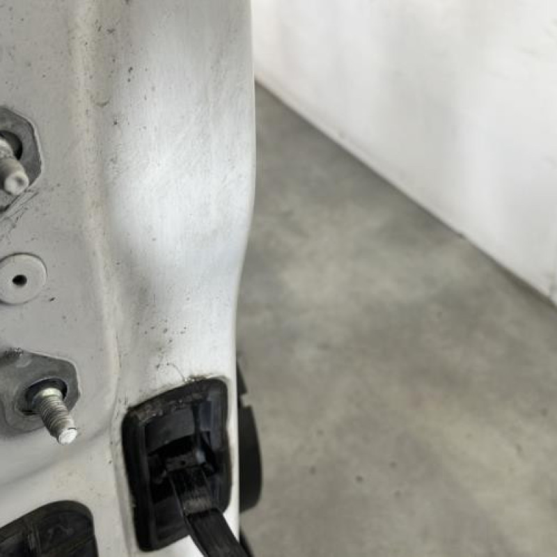 Porte avant droit RENAULT MEGANE 4 Photo n°4