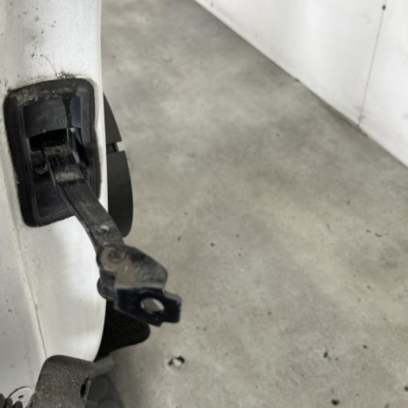 Porte avant droit RENAULT MEGANE 4 Photo n°5