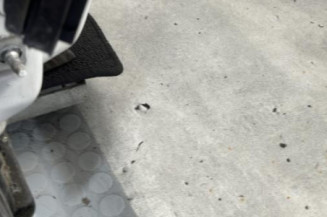 Porte avant droit RENAULT MEGANE 4