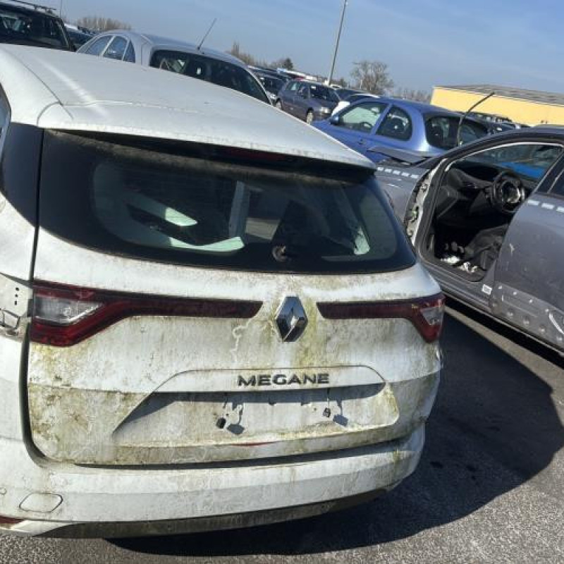 Porte avant droit RENAULT MEGANE 4 Photo n°12