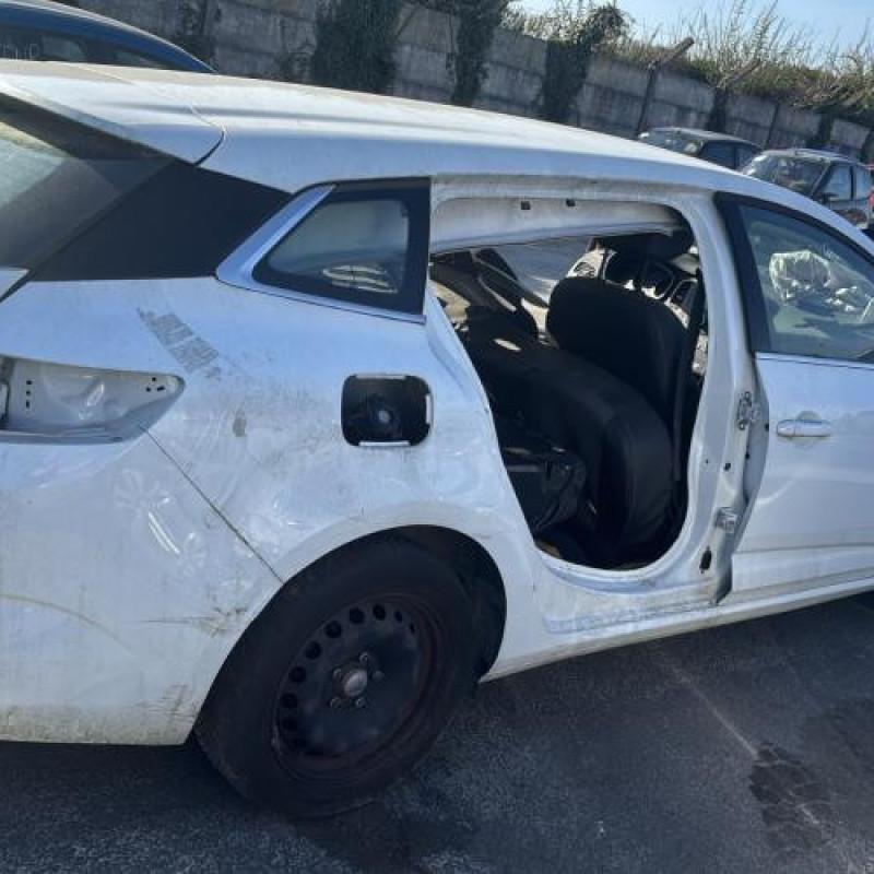 Porte avant droit RENAULT MEGANE 4 Photo n°14