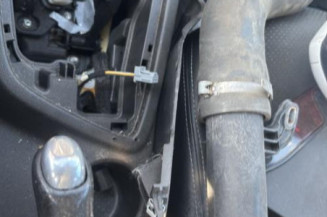 Porte avant droit RENAULT MEGANE 4