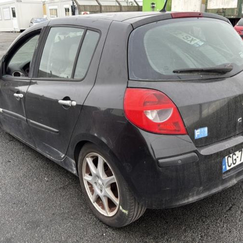 Vitre arriere droit RENAULT CLIO 3 Photo n°8