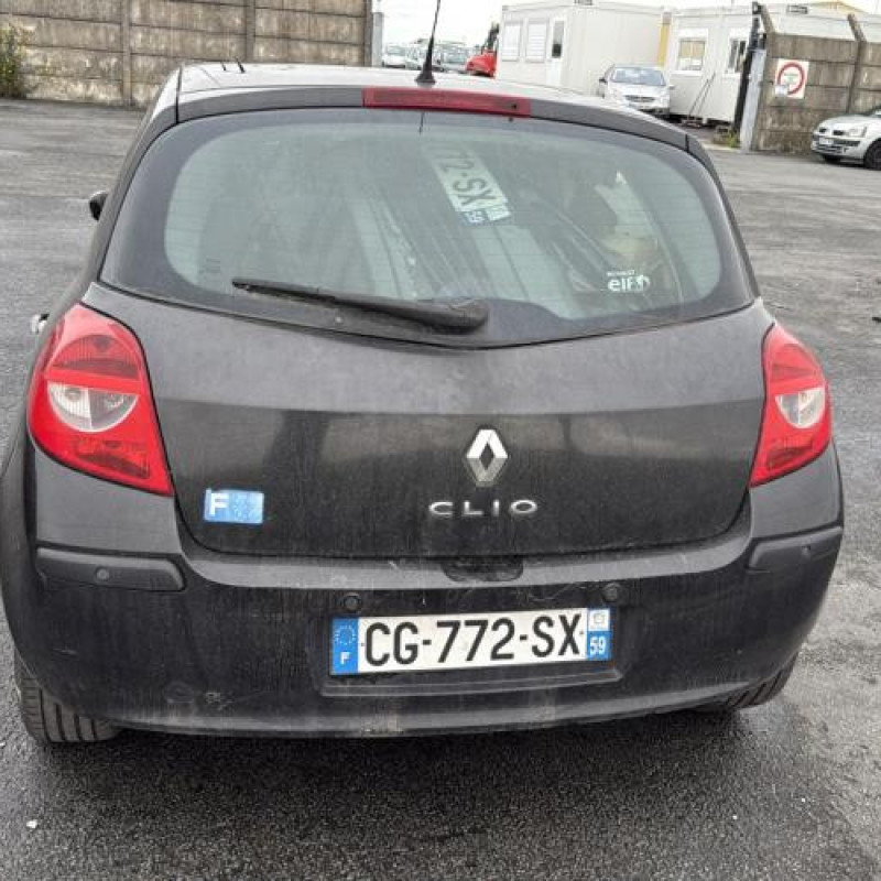 Vitre arriere droit RENAULT CLIO 3 Photo n°9