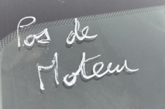 Vitre arriere droit RENAULT CLIO 3