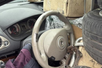 Vitre arriere droit RENAULT CLIO 3