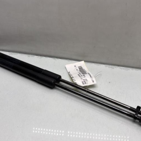 Verin de coffre BMW SERIE 1 F20 Photo n°1