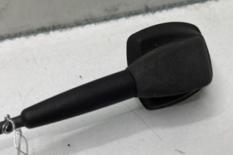 Antenne DACIA SANDERO 2