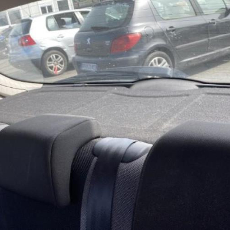 Porte arriere droit PEUGEOT 207 Photo n°14
