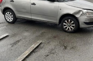 Cremaillere assistee SKODA FABIA 2