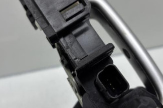 Poignee porte avant droit RENAULT SCENIC 3