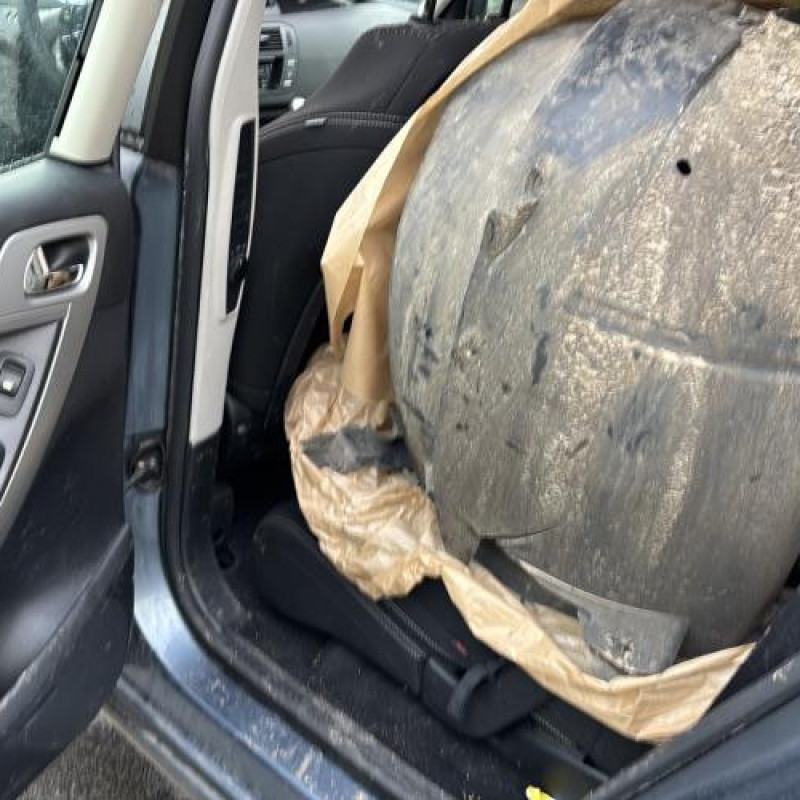 Feu arriere secondaire gauche (feux) CITROEN C4 PICASSO 1 Photo n°13