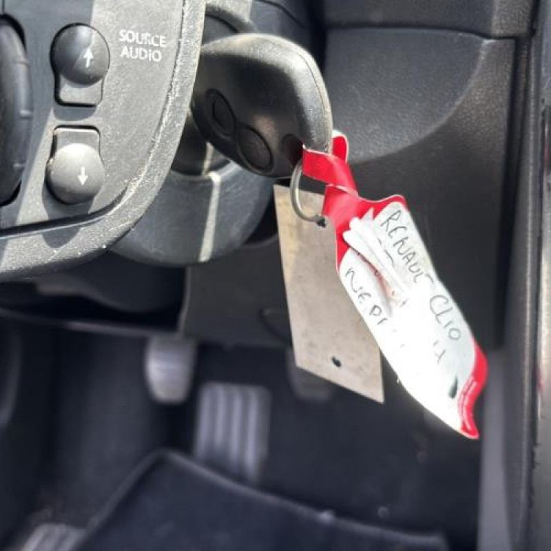 Vitre avant droit RENAULT CLIO 3 Photo n°12