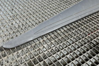 Baguette de porte avant gauche RENAULT CLIO 4