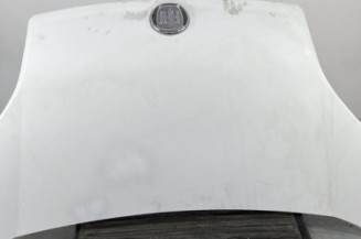 Capot FIAT QUBO Photo n°1