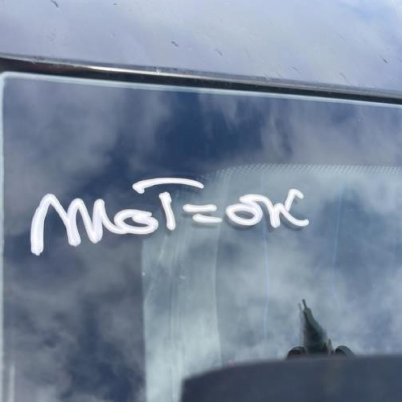 Malle/Hayon arriere RENAULT CLIO 4 Photo n°18