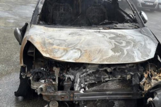 Malle/Hayon arriere CITROEN DS3