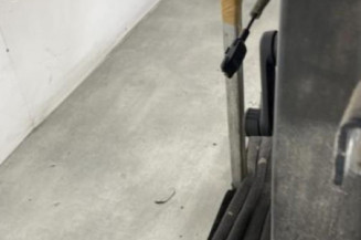 Porte arriere gauche RENAULT CLIO 4