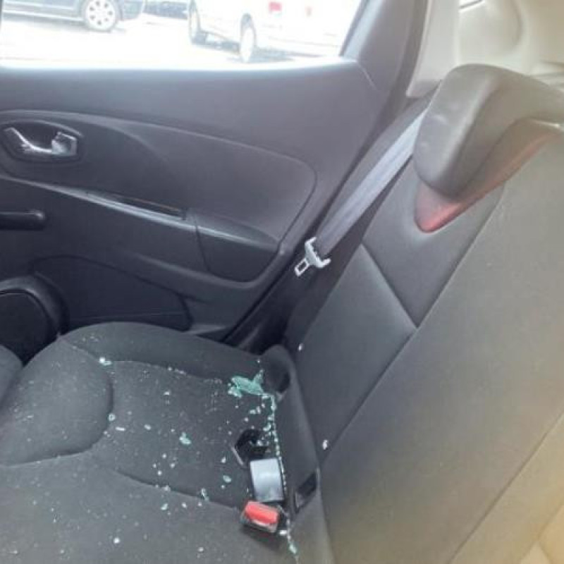Porte arriere gauche RENAULT CLIO 4 Photo n°13
