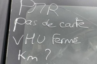 Porte arriere gauche RENAULT CLIO 4