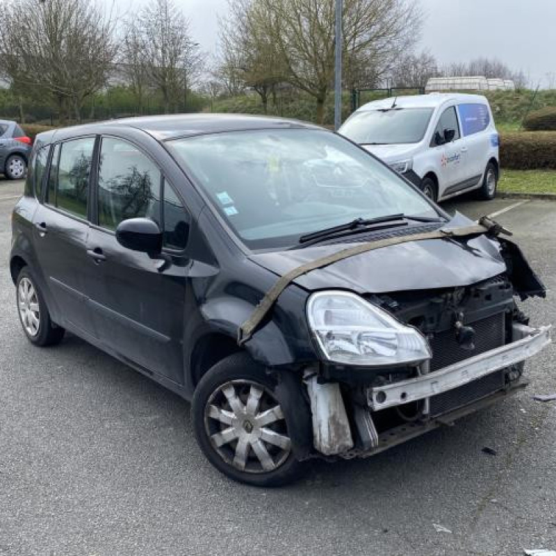 Porte arriere droit RENAULT GRAND MODUS Photo n°4