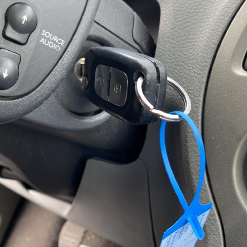 Porte arriere droit RENAULT GRAND MODUS Photo n°11