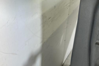 Porte arriere gauche CITROEN C4 PICASSO 2
