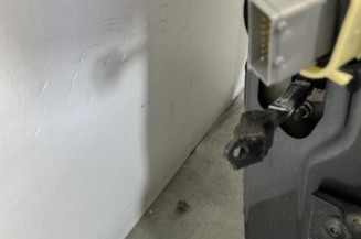 Porte arriere gauche CITROEN C4 PICASSO 2