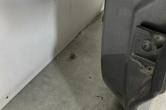 Porte arriere gauche CITROEN C4 PICASSO 2