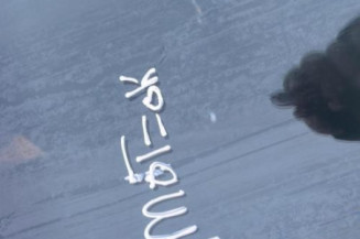 Vitre arriere gauche AUDI A1 1