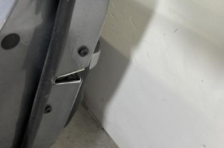 Porte avant gauche BMW SERIE 3 E90