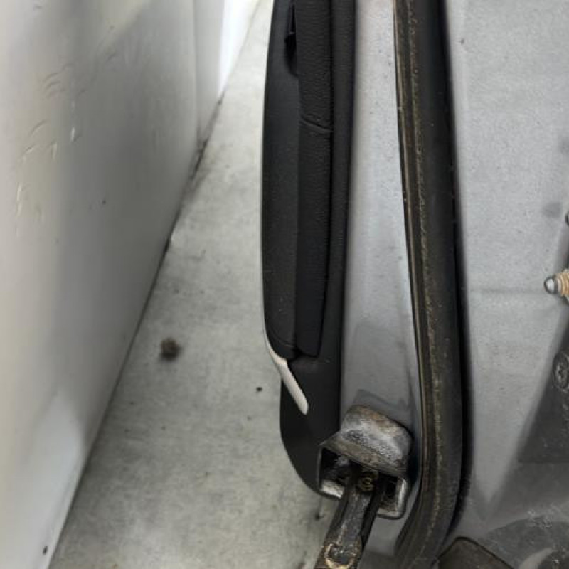 Porte avant gauche BMW SERIE 3 E90 Photo n°4