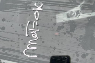 Porte avant gauche BMW SERIE 3 E90