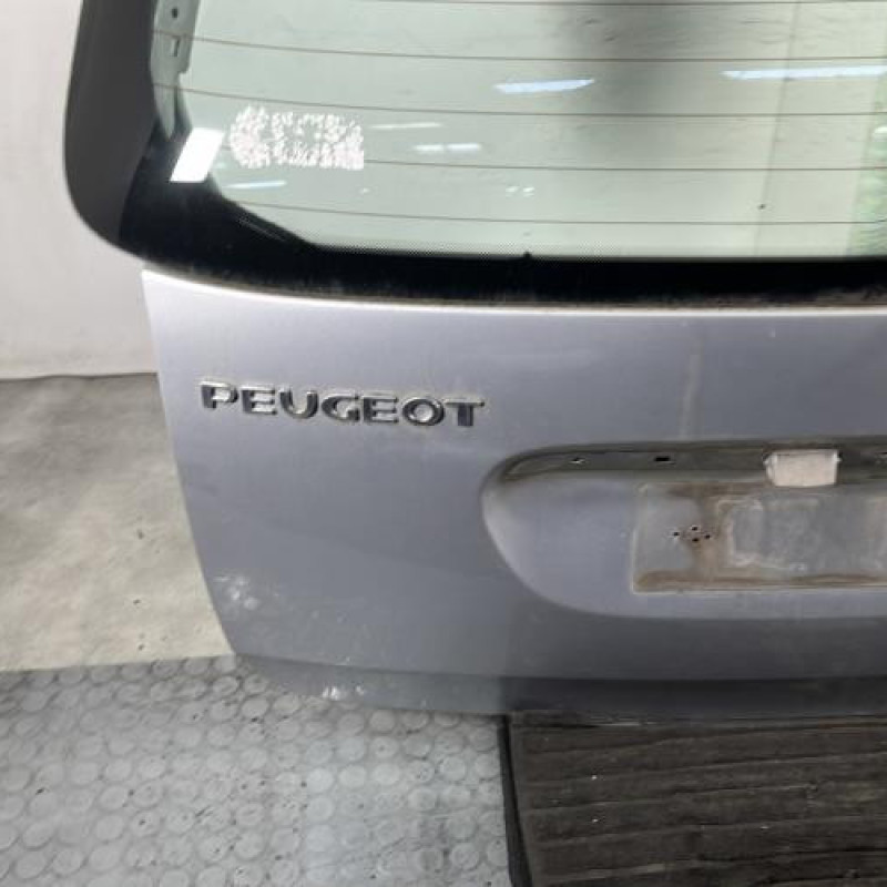 Malle/Hayon arriere PEUGEOT 307 Photo n°6
