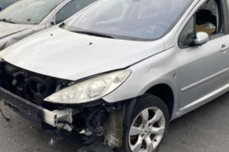 Malle/Hayon arriere PEUGEOT 307