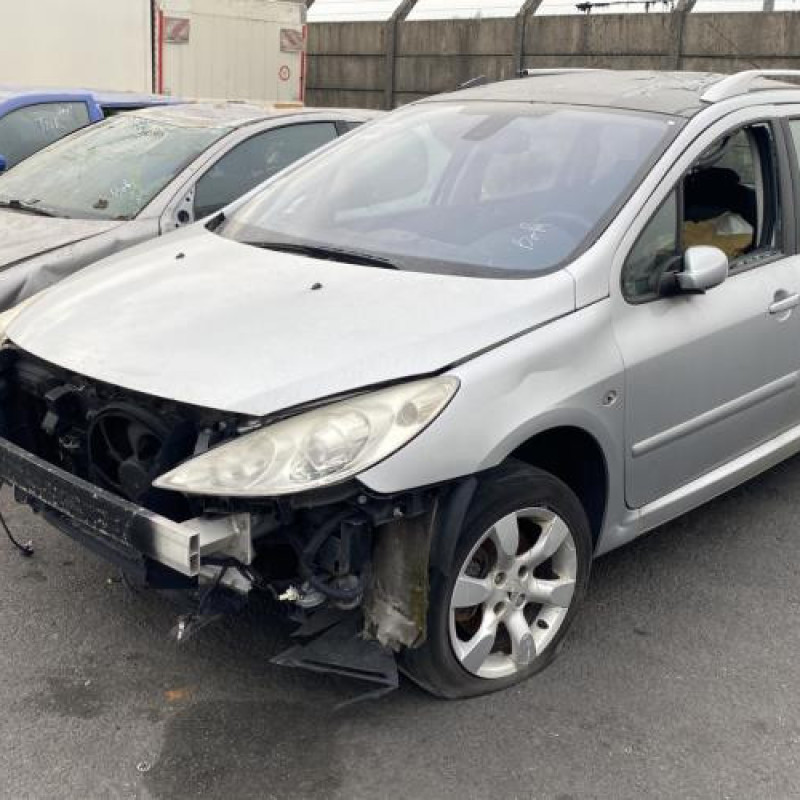 Malle/Hayon arriere PEUGEOT 307 Photo n°13