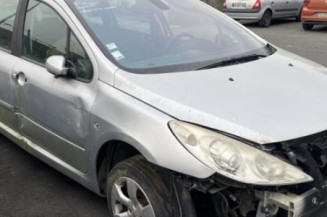 Malle/Hayon arriere PEUGEOT 307