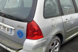 Malle/Hayon arriere PEUGEOT 307