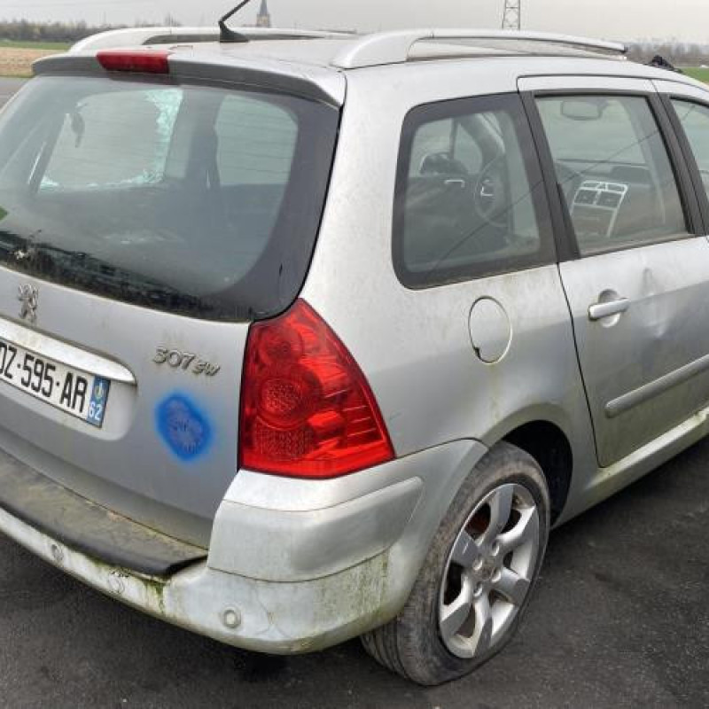 Malle/Hayon arriere PEUGEOT 307 Photo n°15