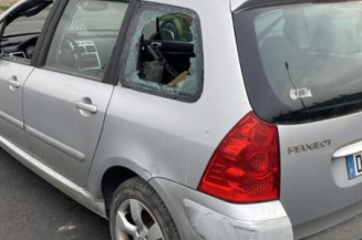 Malle/Hayon arriere PEUGEOT 307