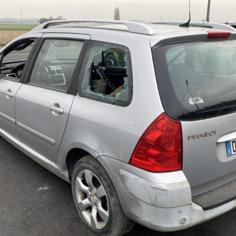 Malle/Hayon arriere PEUGEOT 307 Photo n°16