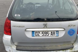 Malle/Hayon arriere PEUGEOT 307