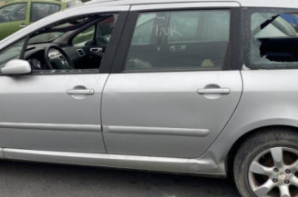 Malle/Hayon arriere PEUGEOT 307