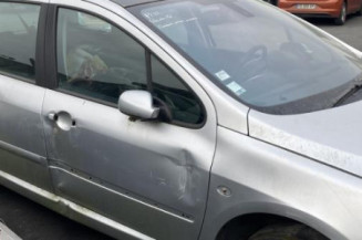 Malle/Hayon arriere PEUGEOT 307